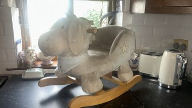 toddlers rocking donkey