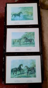 Antique oak framed trio of "The British Stud" prints
