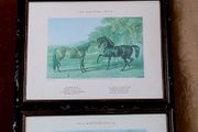 Antique oak framed trio of "The British Stud" prints
