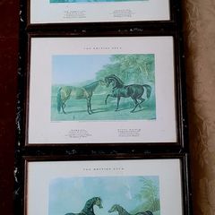 Antique oak framed trio of "The British Stud" prints