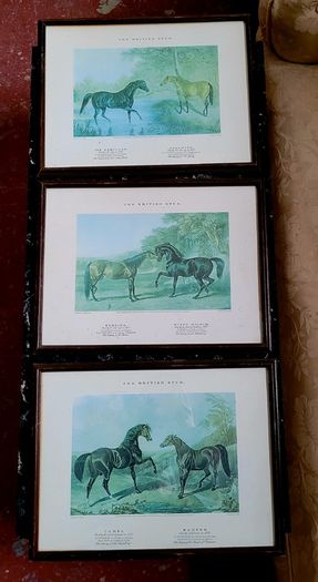 Antique oak framed trio of "The British Stud" prints