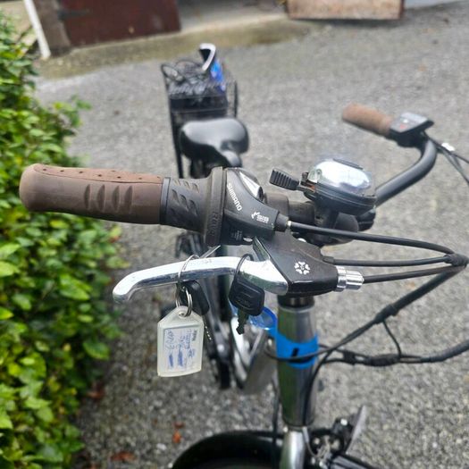 Ladies electric bike