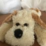 Very Soft Lying Dogs Image 5