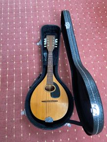 Martin Style A Flatback Mandolin