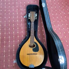 Martin Style A Flatback Mandolin