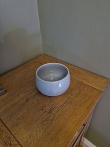 Plant Pot