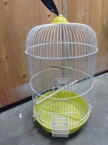 bird cage