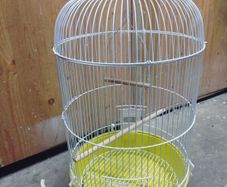 bird cage