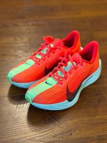 Nike Pegasus Plus