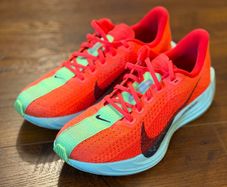 Nike Pegasus Plus