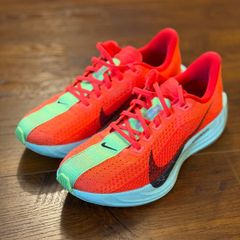 Nike Pegasus Plus