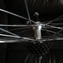 Beretta 28" Rear Wheel Image 4