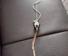 Beautiful necklace