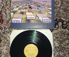 Pink Floyd: A Momentary Lapse Of Reason LP Irish pressing