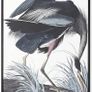Large-Format Artwork / Wading Bird (Great Blue Heron) / Framed Wall Art Image 2