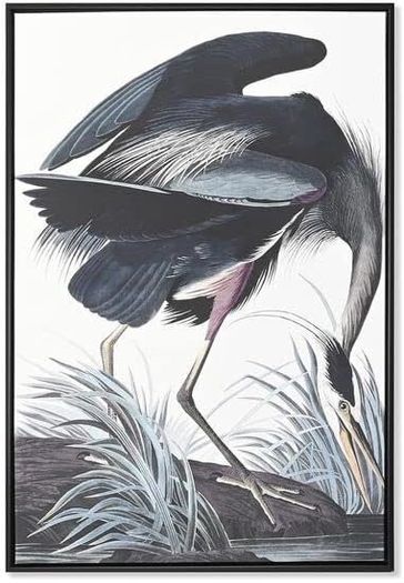 NEW 2 Large Format Framed Bird Artworks