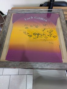 2004 leinster champions wexford GAA framed and signed jersey