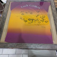 2004 leinster champions wexford GAA framed and signed jersey