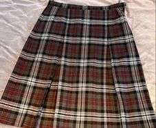 School Skirt