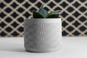 Modern 3D Printed Decorative Plant Pot