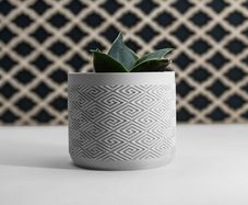 Modern 3D Printed Decorative Plant Pot