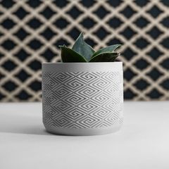 Modern 3D Printed Decorative Plant Pot