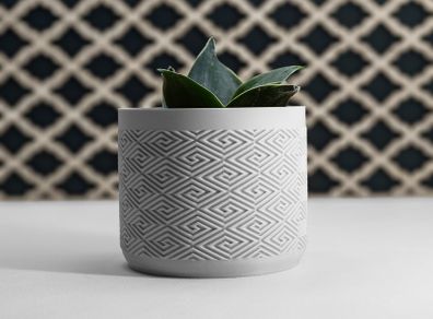 Modern 3D Printed Decorative Plant Pot