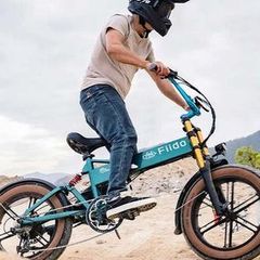 Fiido M1 Pro Electric Bike