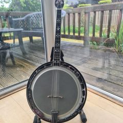 Gold Tone IT-250-F Irish Tenor Banjo