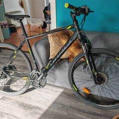 Grand Canyon Drag XL