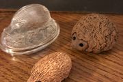 Three Hedgehogs