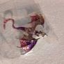 Enamel Dragon Brooch Image 7