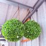Topiary Ball / Artificial Plant Pair Image 2