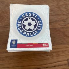 100+ Euro 2024 Stickers