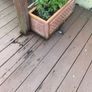 Teracotta stone planters x 2 Image 4