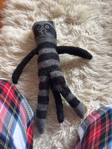 Raccoon teddy