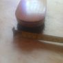 Vintage Bristle Clothes Brush Image 5