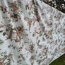 Nina Campbell Fabric Image 7