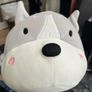 MinisoLife Super Soft Dog Teddy Image 2