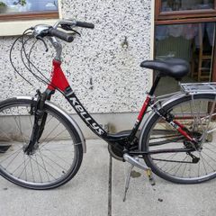 Kelly's City bike