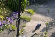 kid's scooter