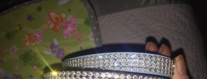 New Dog dimante collars