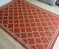 Terracotta Indoor and Outdoor Rug