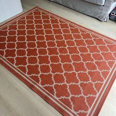 Terracotta Indoor and Outdoor Rug