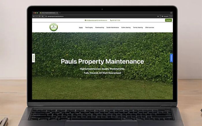 Web design and development services