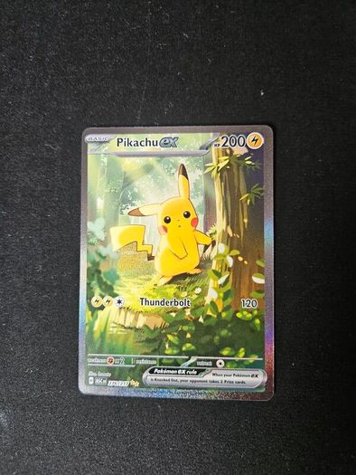 Pikachu Ascended Hereos