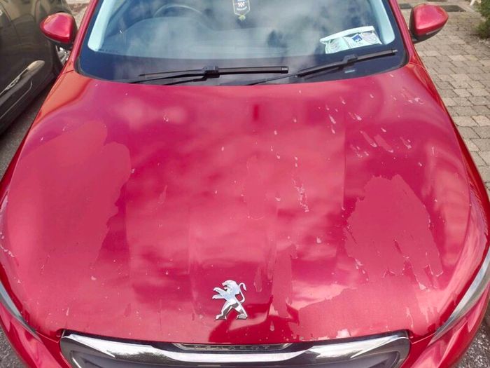 Peugeot 308 Allure 1.6hdi 120hp 6speed
