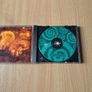 Patrick Cassidy - The Children of Lir Image 3