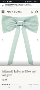 Sash/ bow