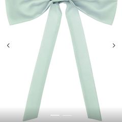 Sash/ bow